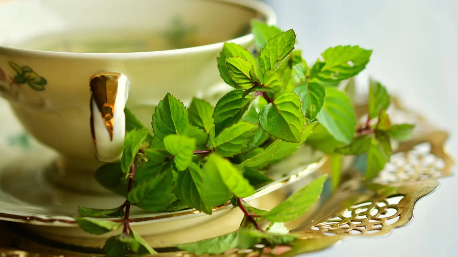 Chá de Hortelã: Refresque sua Vida com 7 Benefícios Incríveis e Aprenda Como Prepará-lo