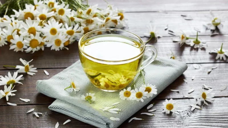 Chá de Camomila: Um Elixir de Calma e Saúde – 10 Benefícios, Como Fazer e Cuidados Essenciais