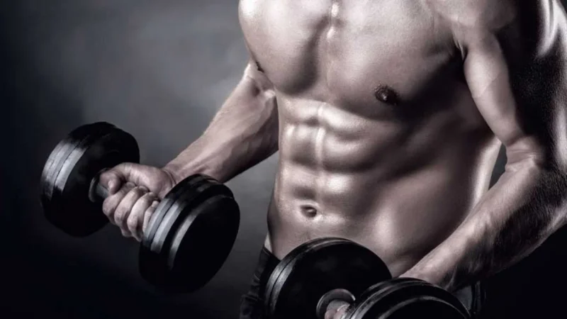 Exercícios para Bíceps, Tríceps, Antebraços e Ombros
